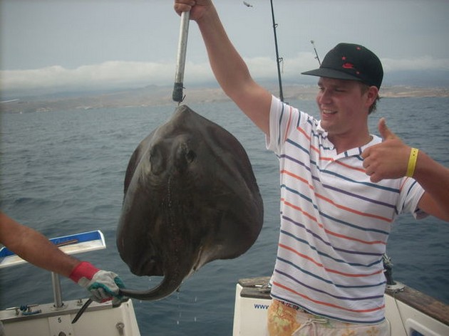 roughtail stingray Cavalier & Blue Marlin Sport Fishing Gran Canaria