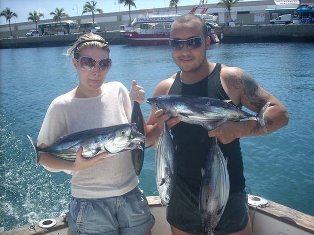 skipjack tuna Cavalier & Blue Marlin Sport Fishing Gran Canaria