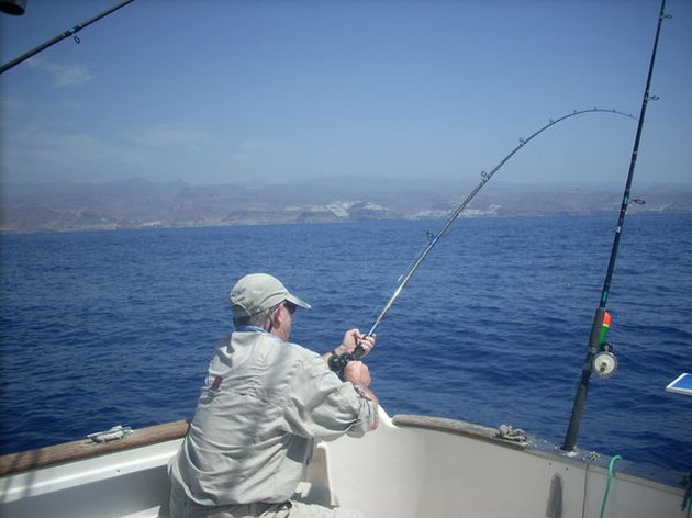 hooked up Cavalier & Blue Marlin Sport Fishing Gran Canaria