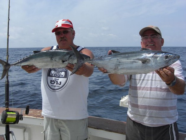 2 atlantic bonitos Cavalier & Blue Marlin Sport Fishing Gran Canaria