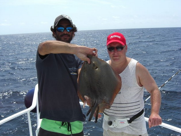 common stingray Cavalier & Blue Marlin Sport Fishing Gran Canaria
