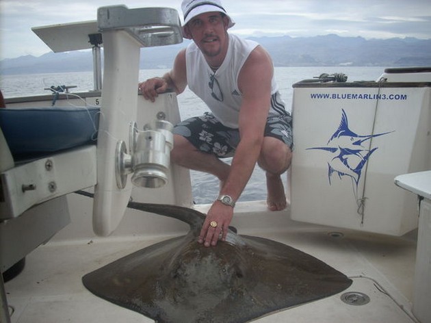 FISHING ON THE REEF<br><br>The last 3 fishing days, the trolling - Cavalier & Blue Marlin Sport Fishing Gran Canaria