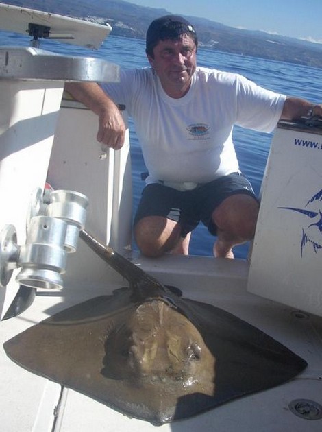 20/09 common stingray Cavalier & Blue Marlin Sport Fishing Gran Canaria