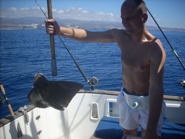 5 BILLFISH CONTACTS<br><br>Ongelofelijk wat een spanning - Cavalier & Blue Marlin Sport Fishing Gran Canaria
