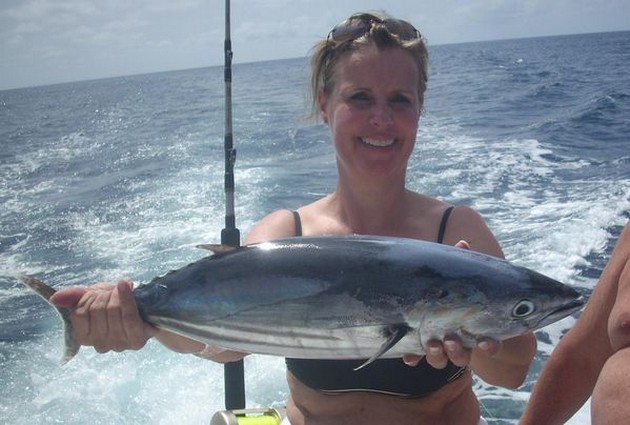 24/09 skipjack tuna Cavalier & Blue Marlin Sport Fishing Gran Canaria