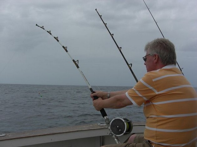  - Cavalier & Blue Marlin Sport Fishing Gran Canaria