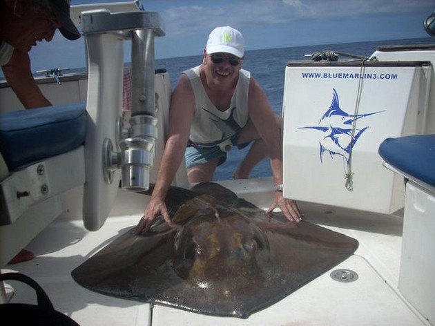 common stingray Cavalier & Blue Marlin Sport Fishing Gran Canaria