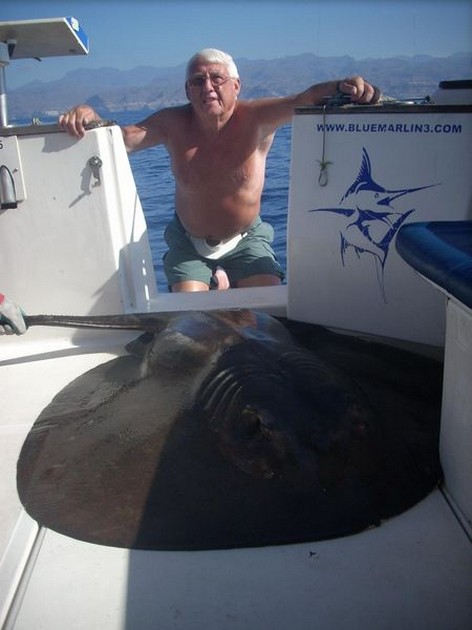 03/10 round stingray Cavalier & Blue Marlin Sport Fishing Gran Canaria