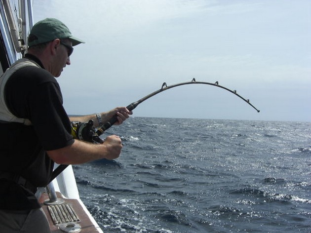  - Cavalier & Blue Marlin Sport Fishing Gran Canaria