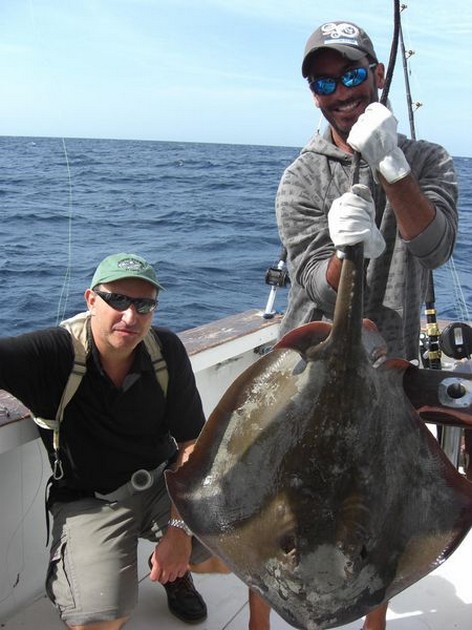 roughtail stingray Cavalier & Blue Marlin Sport Fishing Gran Canaria