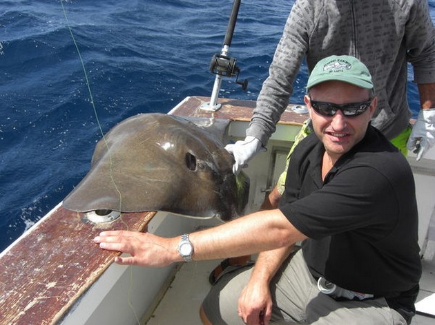 common stingray Cavalier & Blue Marlin Sport Fishing Gran Canaria