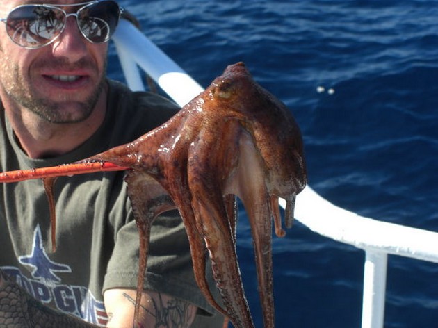  - Cavalier & Blue Marlin Sport Fishing Gran Canaria