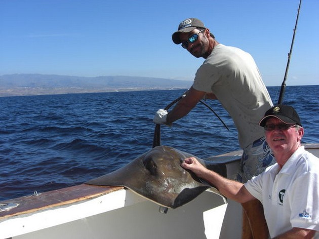 common stingray Cavalier & Blue Marlin Sport Fishing Gran Canaria