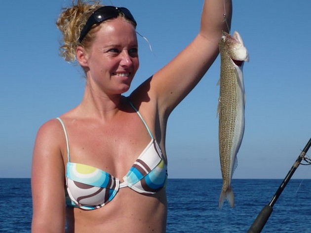 lizard fish Cavalier & Blue Marlin Sport Fishing Gran Canaria