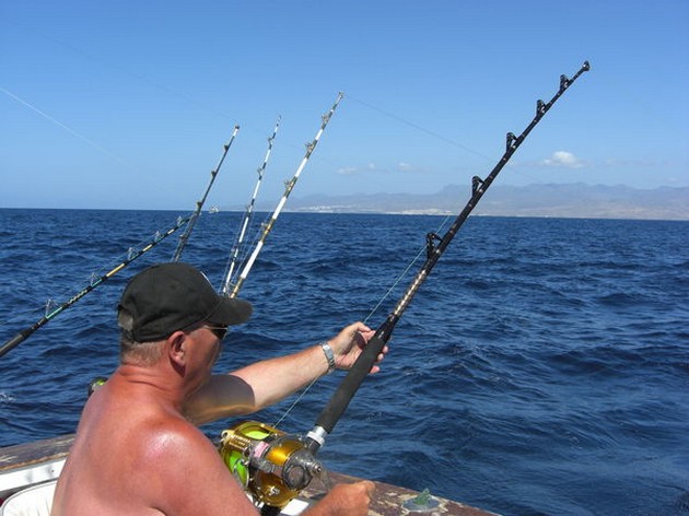 ALBACORE TUNA Heute wieder ein verrückter Tag des Fischens, - Cavalier & Blue Marlin Sport Fishing Gran Canaria