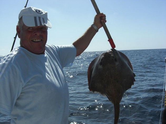 roughtail stingray Cavalier & Blue Marlin Sport Fishing Gran Canaria