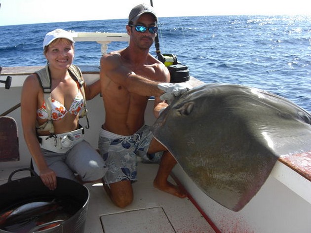 common stingray Cavalier & Blue Marlin Sport Fishing Gran Canaria
