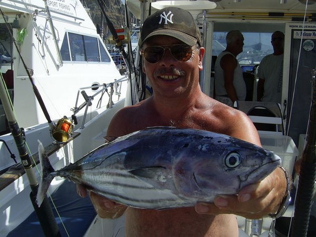 skipjack tuna Cavalier & Blue Marlin Sport Fishing Gran Canaria