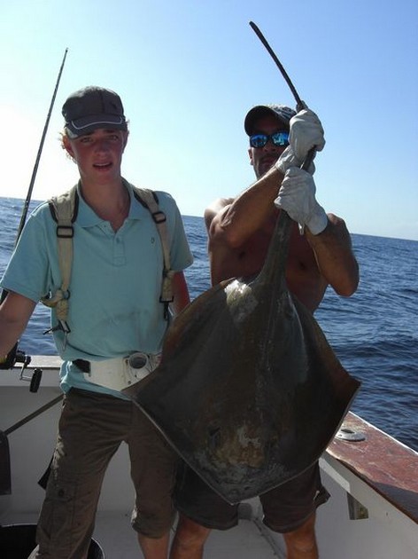 roughtail stingray Cavalier & Blue Marlin Sport Fishing Gran Canaria