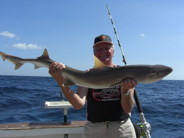 tope Cavalier & Blue Marlin Sport Fishing Gran Canaria
