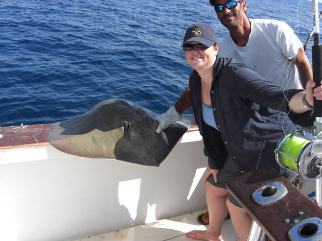 common stingray Cavalier & Blue Marlin Sport Fishing Gran Canaria