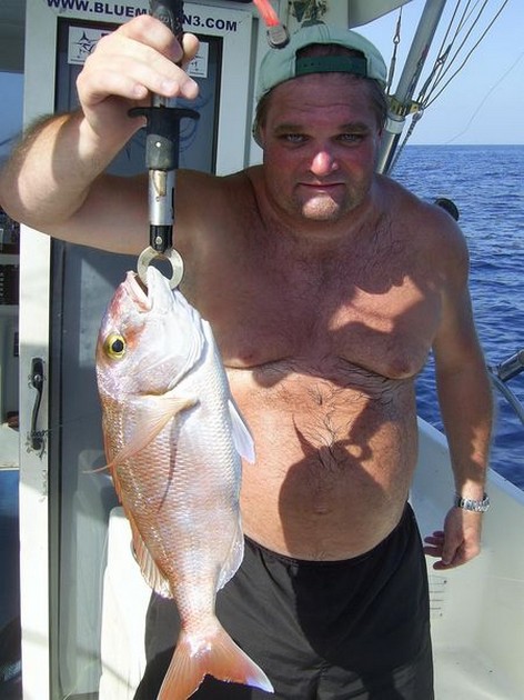 red snapper Cavalier & Blue Marlin Sport Fishing Gran Canaria