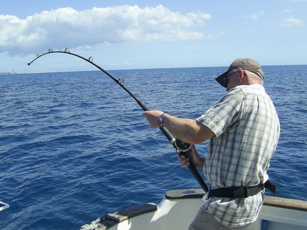 RAYO DE MARIPOSA No tuvimos buenas capturas - Cavalier & Blue Marlin Sport Fishing Gran Canaria