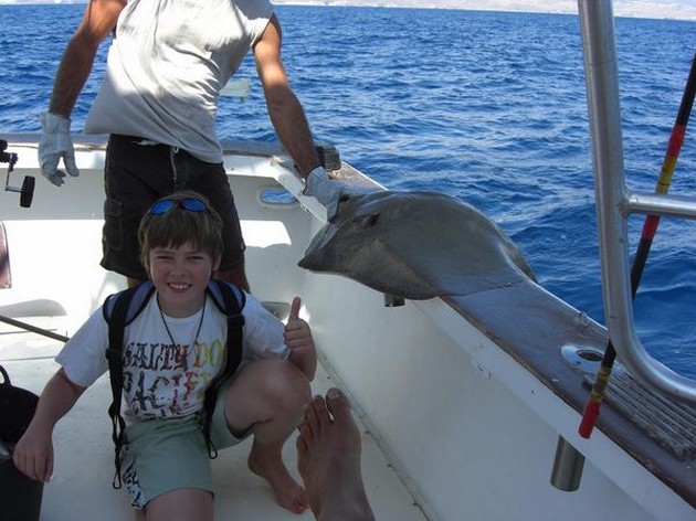 common stingray Cavalier & Blue Marlin Sport Fishing Gran Canaria
