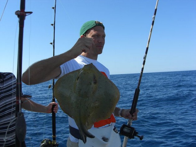 common stingray Cavalier & Blue Marlin Sport Fishing Gran Canaria