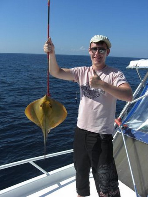 common stingray Cavalier & Blue Marlin Sport Fishing Gran Canaria