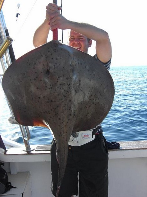 roughtail stingray Cavalier & Blue Marlin Sport Fishing Gran Canaria