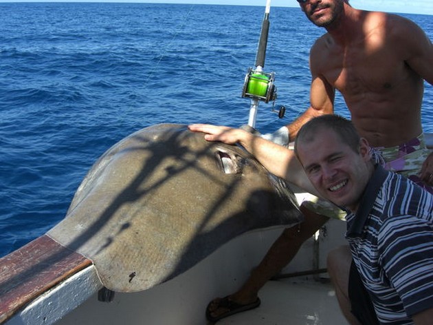common stingray Cavalier & Blue Marlin Sport Fishing Gran Canaria