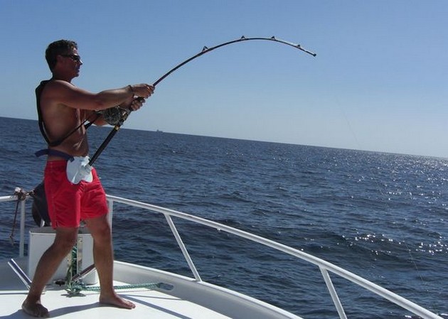CAVALIER CAUGHT 565 KILOS FISH<br><br>Peter Arens and his - Cavalier & Blue Marlin Sport Fishing Gran Canaria