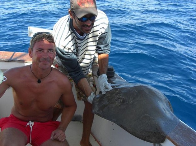 common stingray Cavalier & Blue Marlin Sport Fishing Gran Canaria