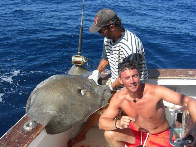 roughtail stingray Cavalier & Blue Marlin Sport Fishing Gran Canaria