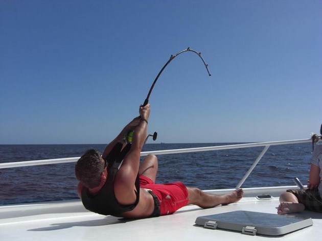 hooked up Cavalier & Blue Marlin Sport Fishing Gran Canaria