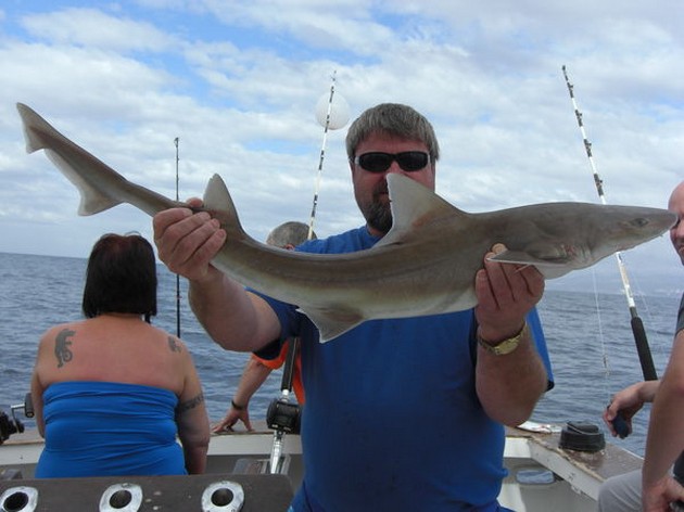 24/10 smoothhound Cavalier & Blue Marlin Sport Fishing Gran Canaria