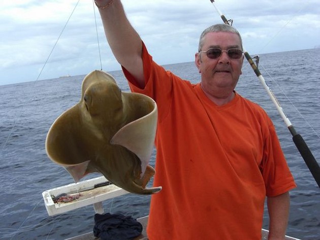 eagle ray Cavalier & Blue Marlin Sport Fishing Gran Canaria