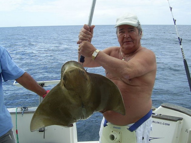 eagle ray Cavalier & Blue Marlin Sport Fishing Gran Canaria