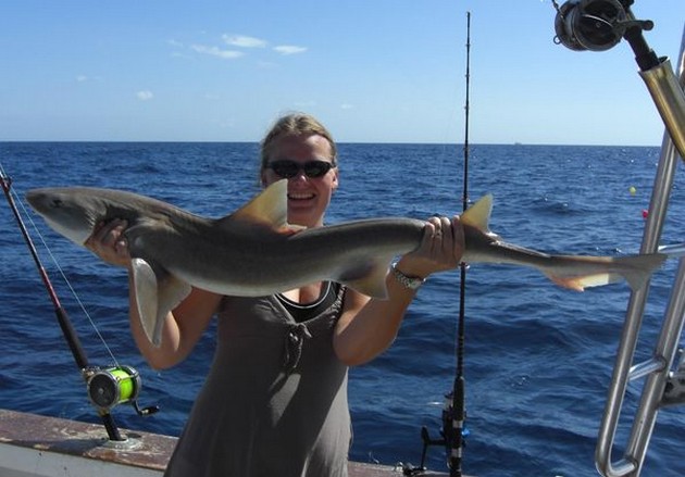 25/10 tope shark Cavalier & Blue Marlin Sport Fishing Gran Canaria
