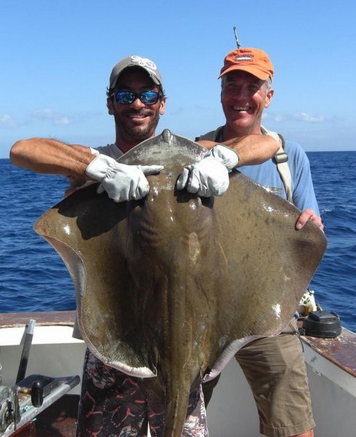 common stingray Cavalier & Blue Marlin Sport Fishing Gran Canaria
