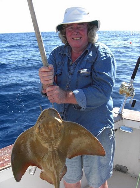 eagle ray Cavalier & Blue Marlin Sport Fishing Gran Canaria