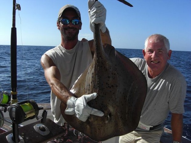 roughtail stingray Cavalier & Blue Marlin Sport Fishing Gran Canaria
