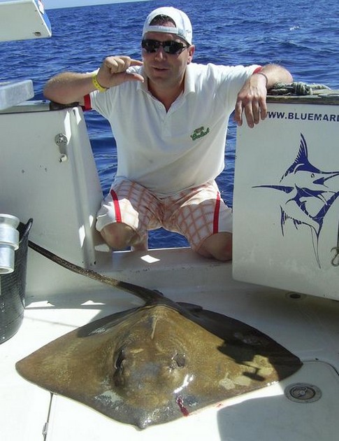 common stingray Cavalier & Blue Marlin Sport Fishing Gran Canaria