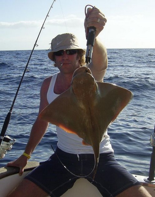 eagle ray Cavalier & Blue Marlin Sport Fishing Gran Canaria