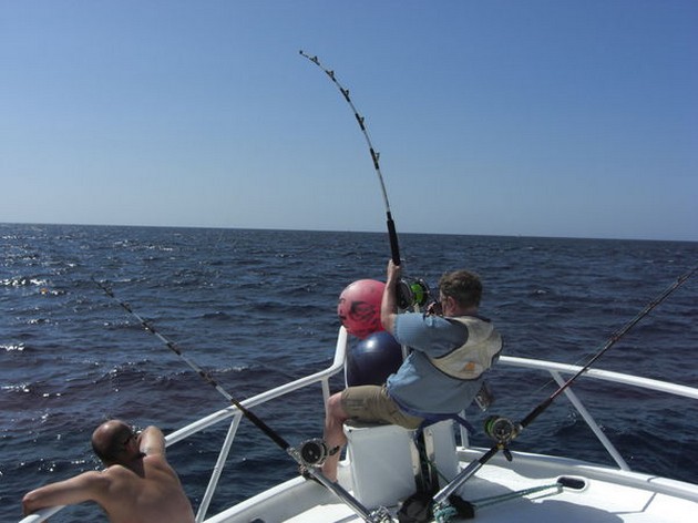  - Cavalier & Blue Marlin Sport Fishing Gran Canaria