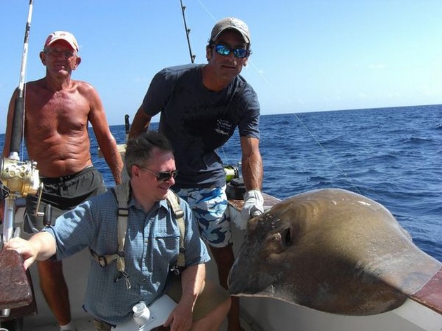 common stingray Cavalier & Blue Marlin Sport Fishing Gran Canaria