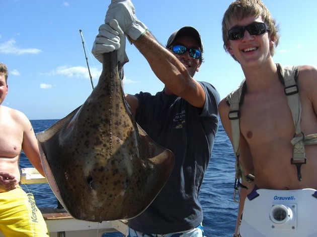 roughtail stingray Cavalier & Blue Marlin Sport Fishing Gran Canaria