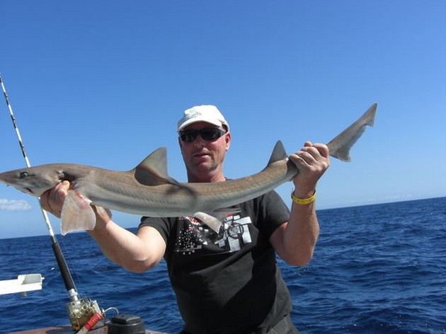 tope Cavalier & Blue Marlin Sport Fishing Gran Canaria