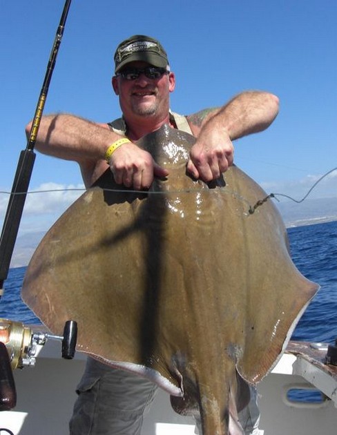 common stingray Cavalier & Blue Marlin Sport Fishing Gran Canaria